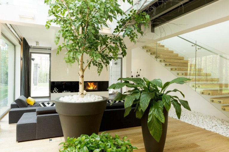 Is Bringing the Outdoors Indoors the Key to Selling Your Home