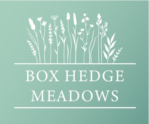 'Box Hedge Meadows', Coalpit Heath, Bristol